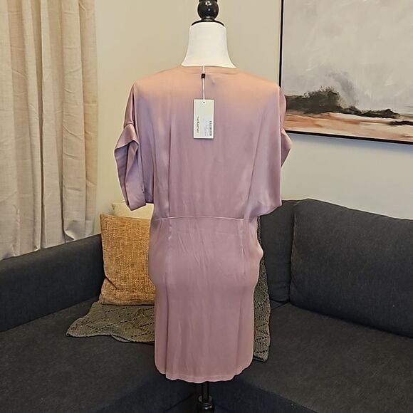 Rose pink Ruched Mini Dress with Plunge Neckline - Picture 3 of 5